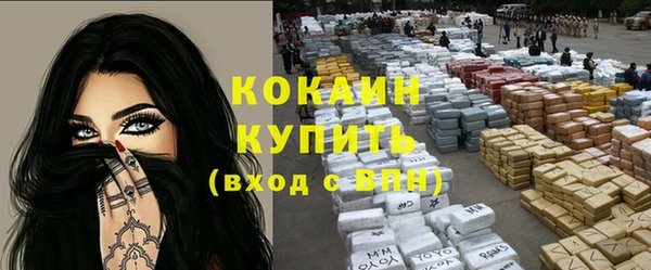 соль ск Абаза