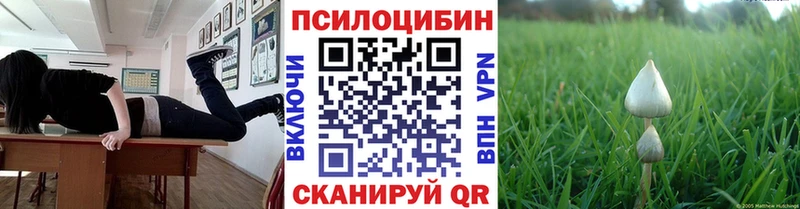 магазин  наркотиков  Алапаевск  Псилоцибиновые грибы мухоморы 
